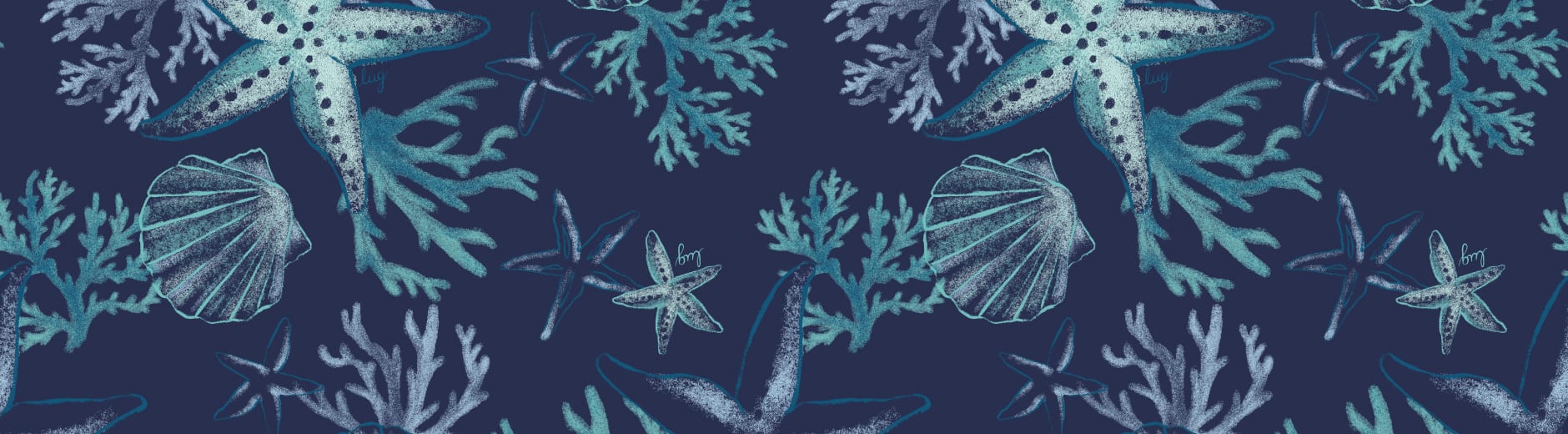 Stars and Shells Navy