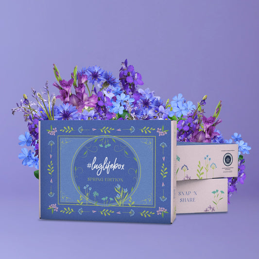 The #LugLifeBox - Spring Edition - - Luglife_SpringBox_Hover