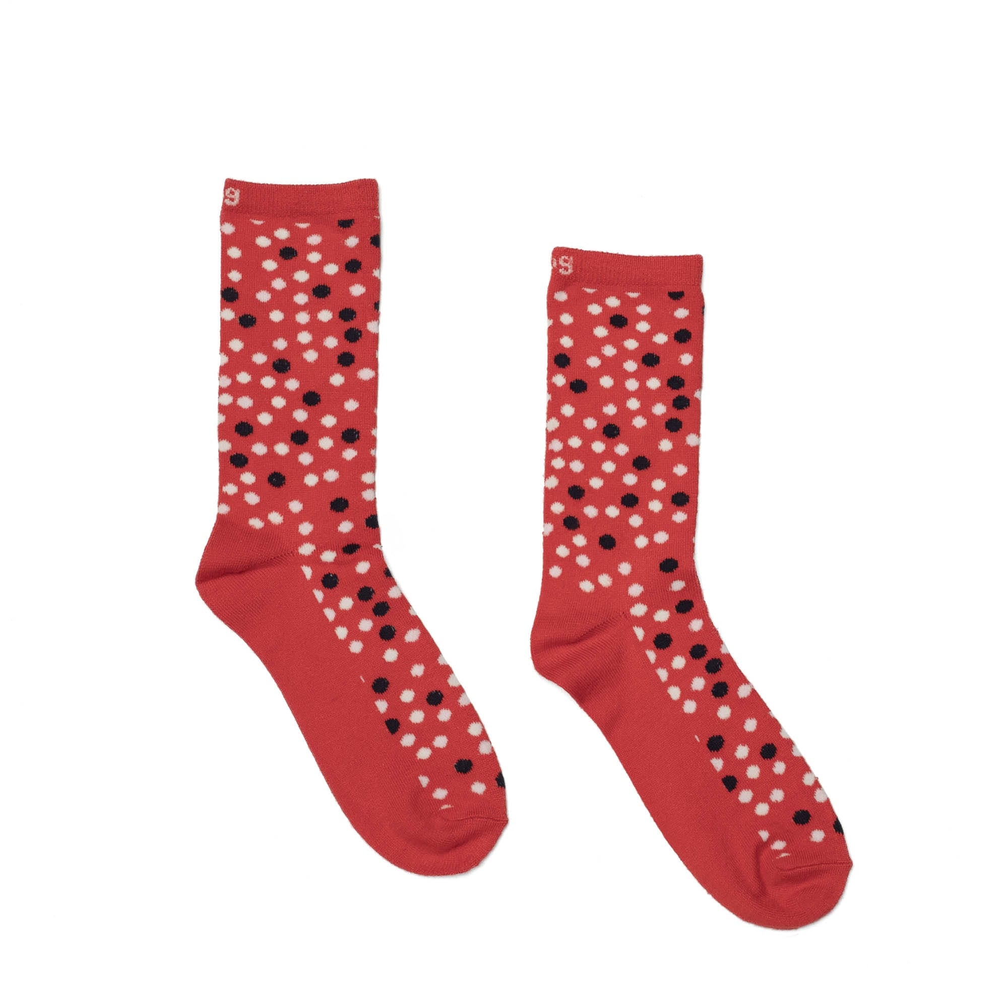 Trotter Socks 6pk - VALENTINE - Trotter_6PackSocks_ValentinesLugLifeBox_011