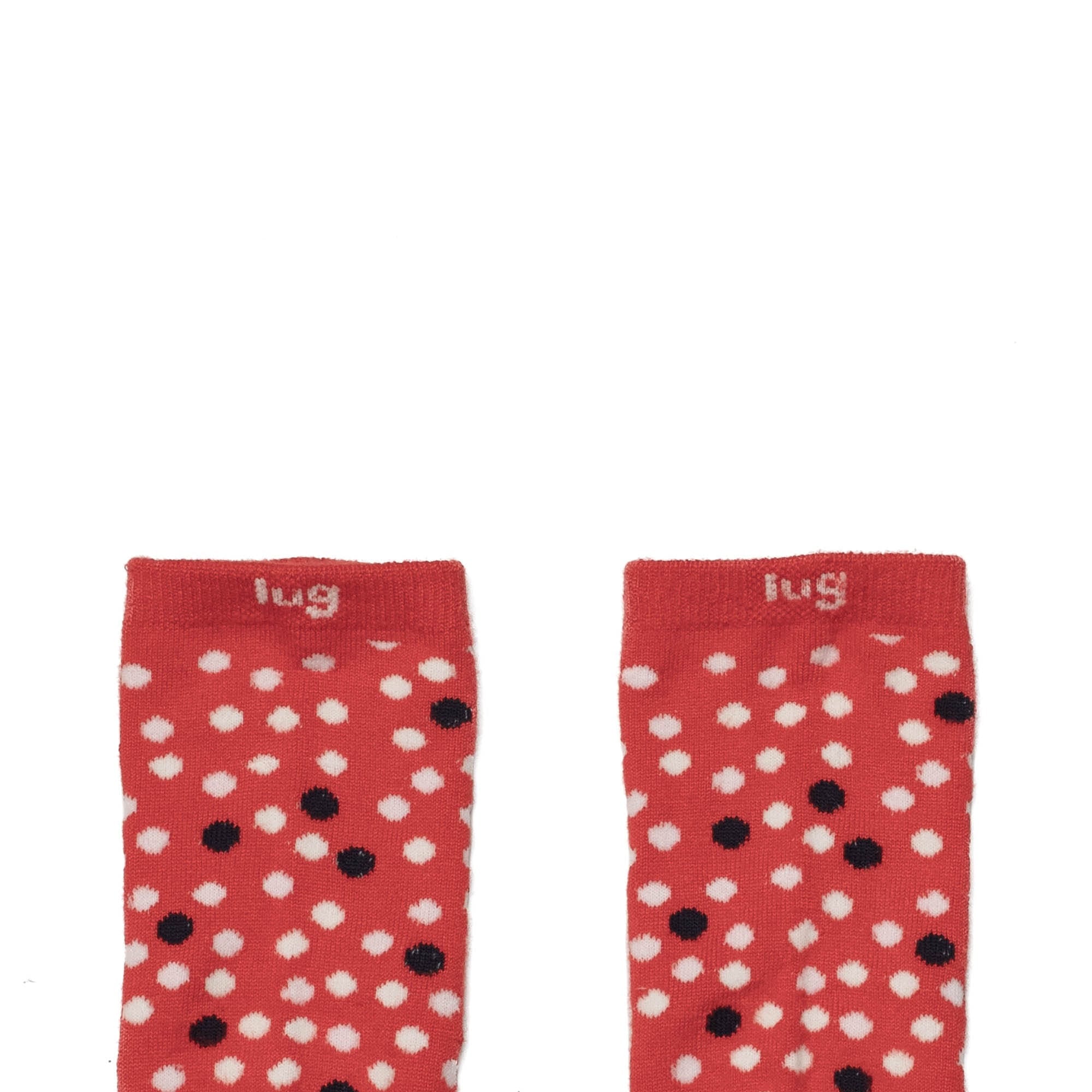 Trotter Socks 6pk - VALENTINE - Trotter_6PackSocks_ValentinesLugLifeBox_013