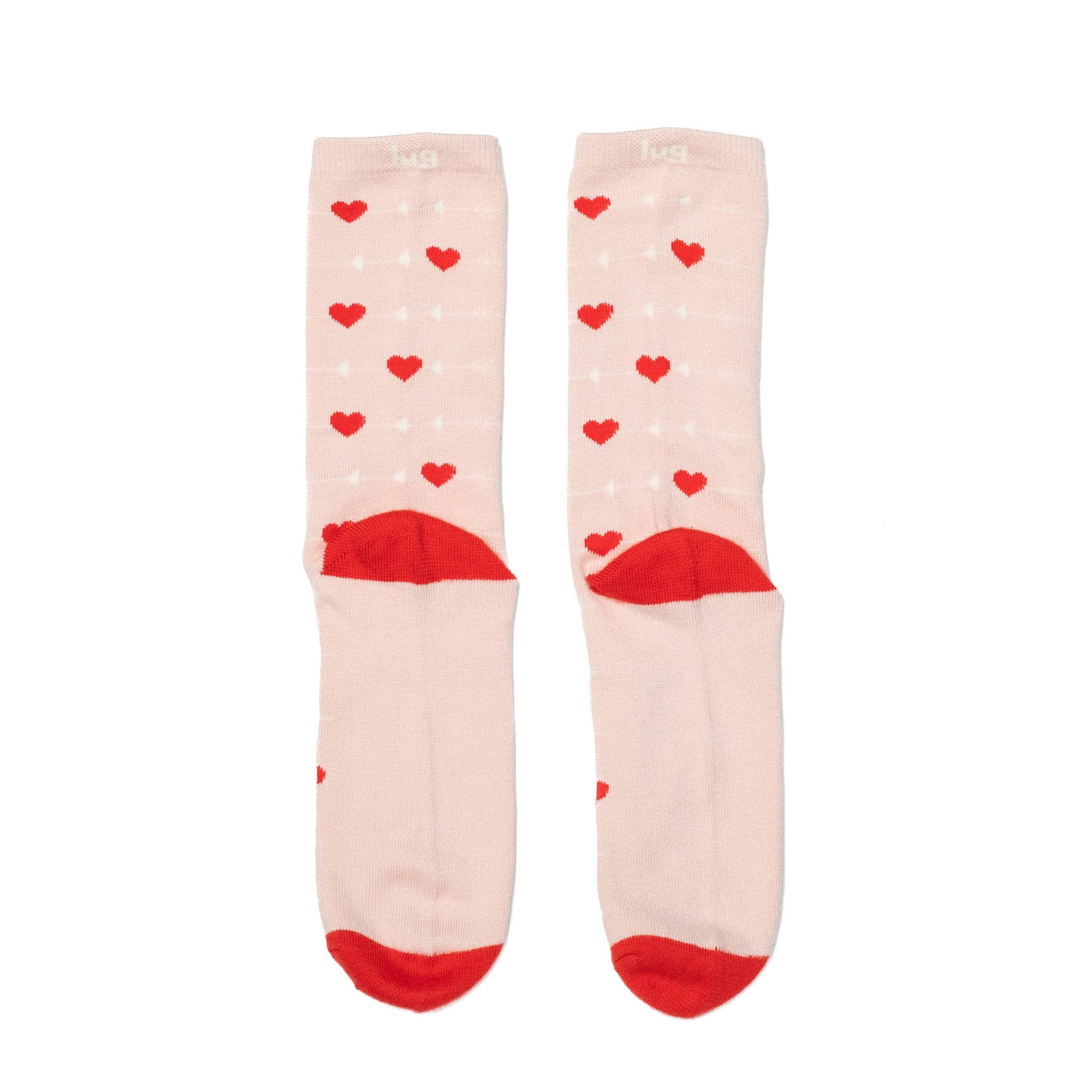 Trotter Socks 6pk - VALENTINE - Trotter_6PackSocks_ValentinesLugLifeBox_015