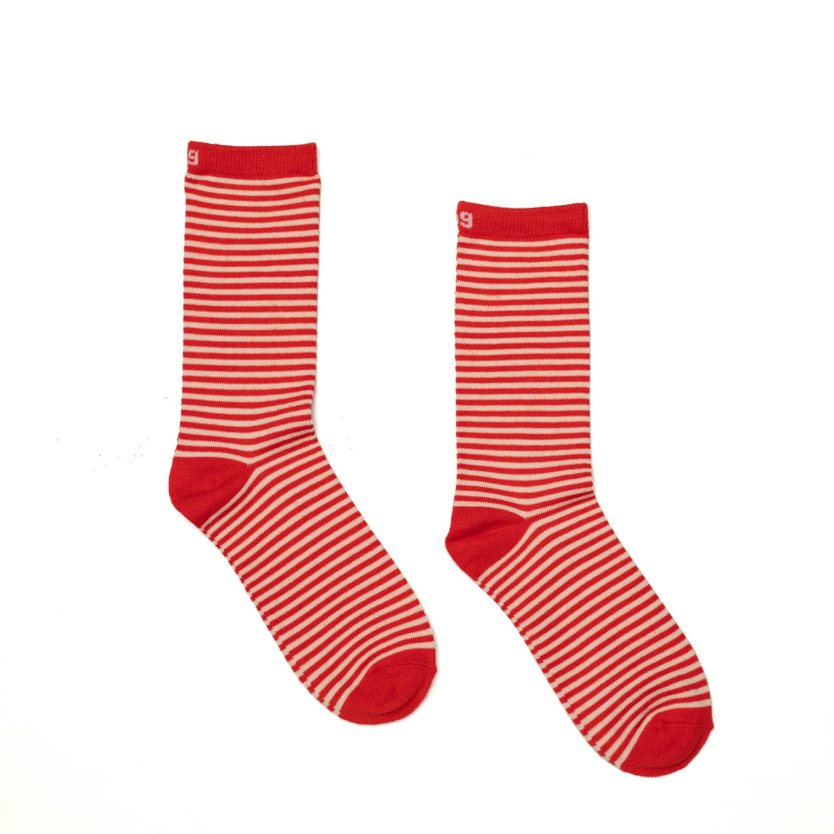 Trotter Socks 6pk