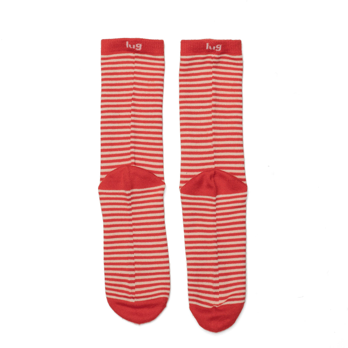 Trotter Socks 6pk