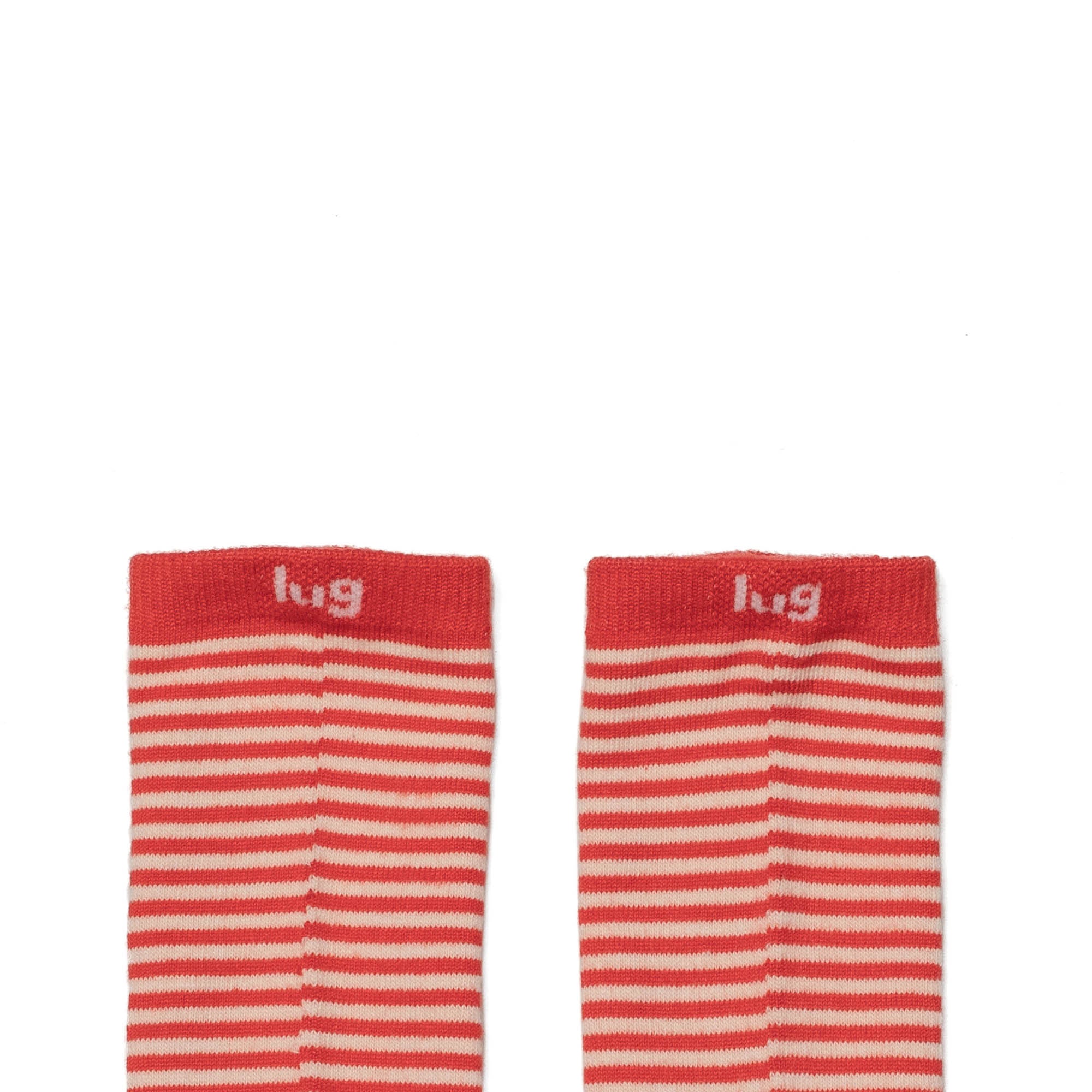 Trotter Socks 6pk - VALENTINE - Trotter_6PackSocks_ValentinesLugLifeBox_07