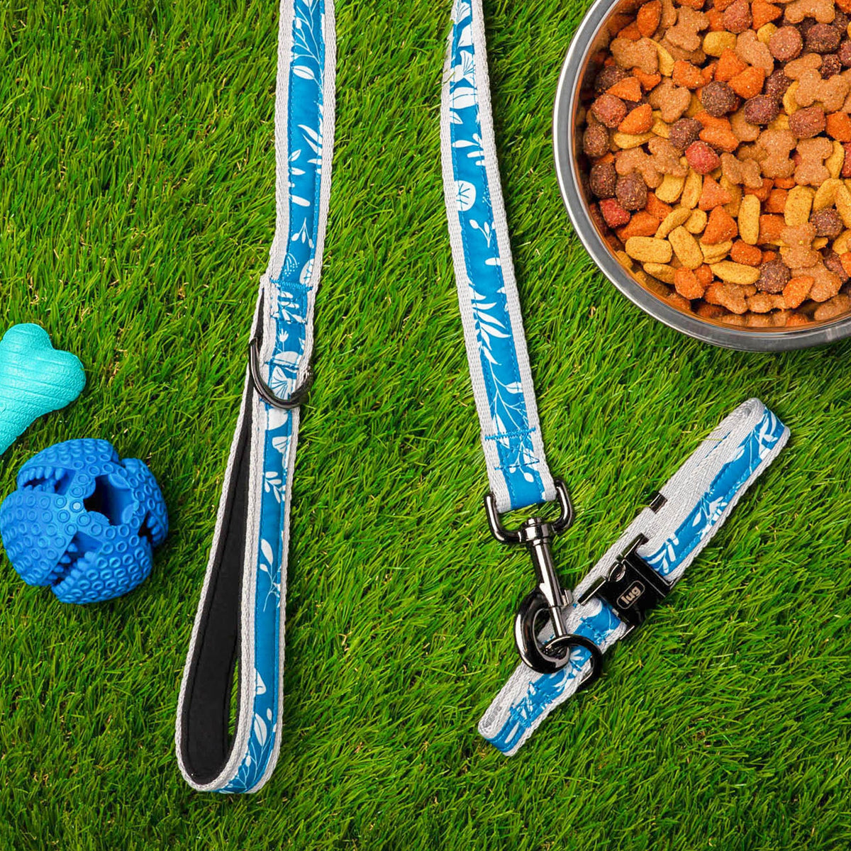 Fetch Pet Collar and Leash Set