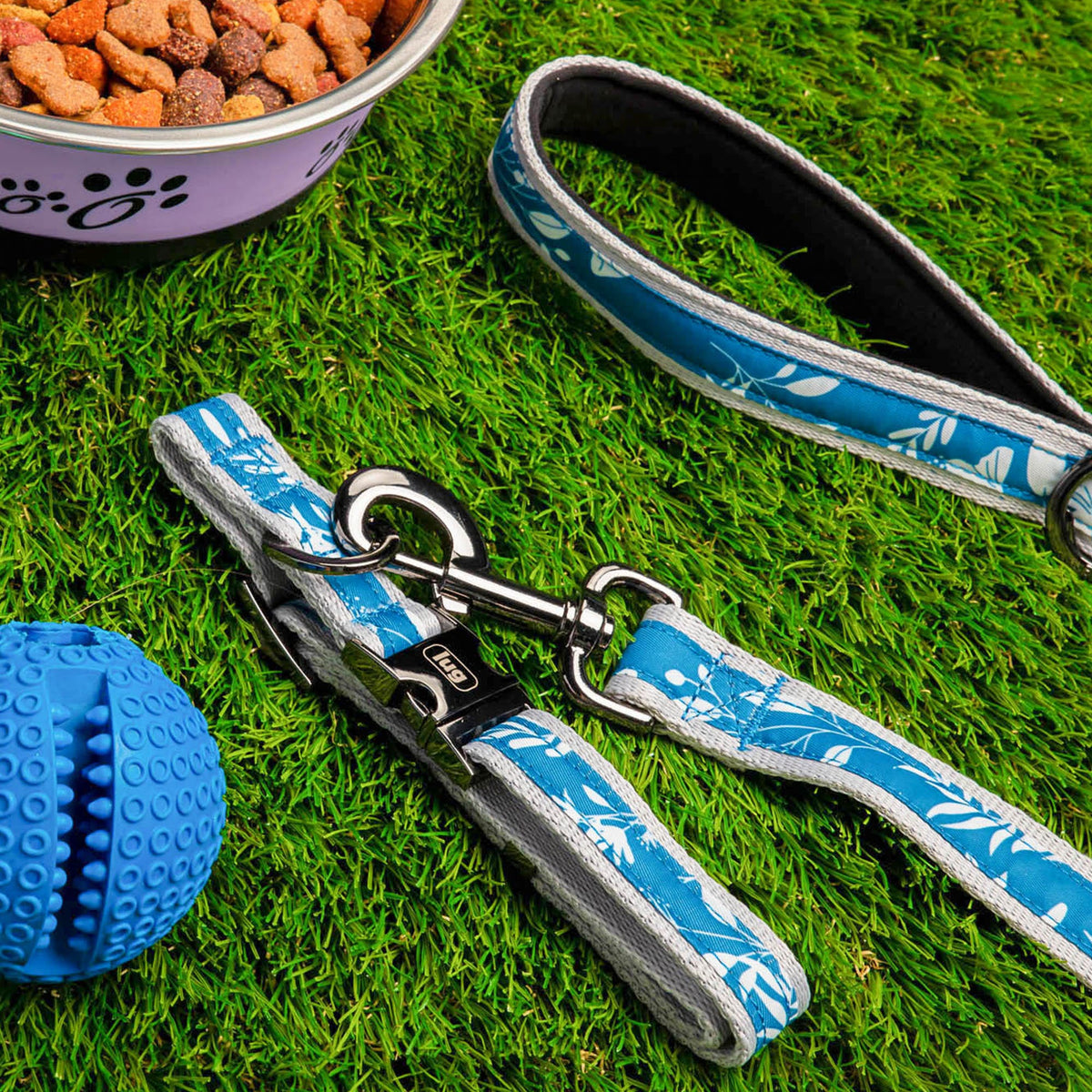 Fetch Pet Collar and Leash Set