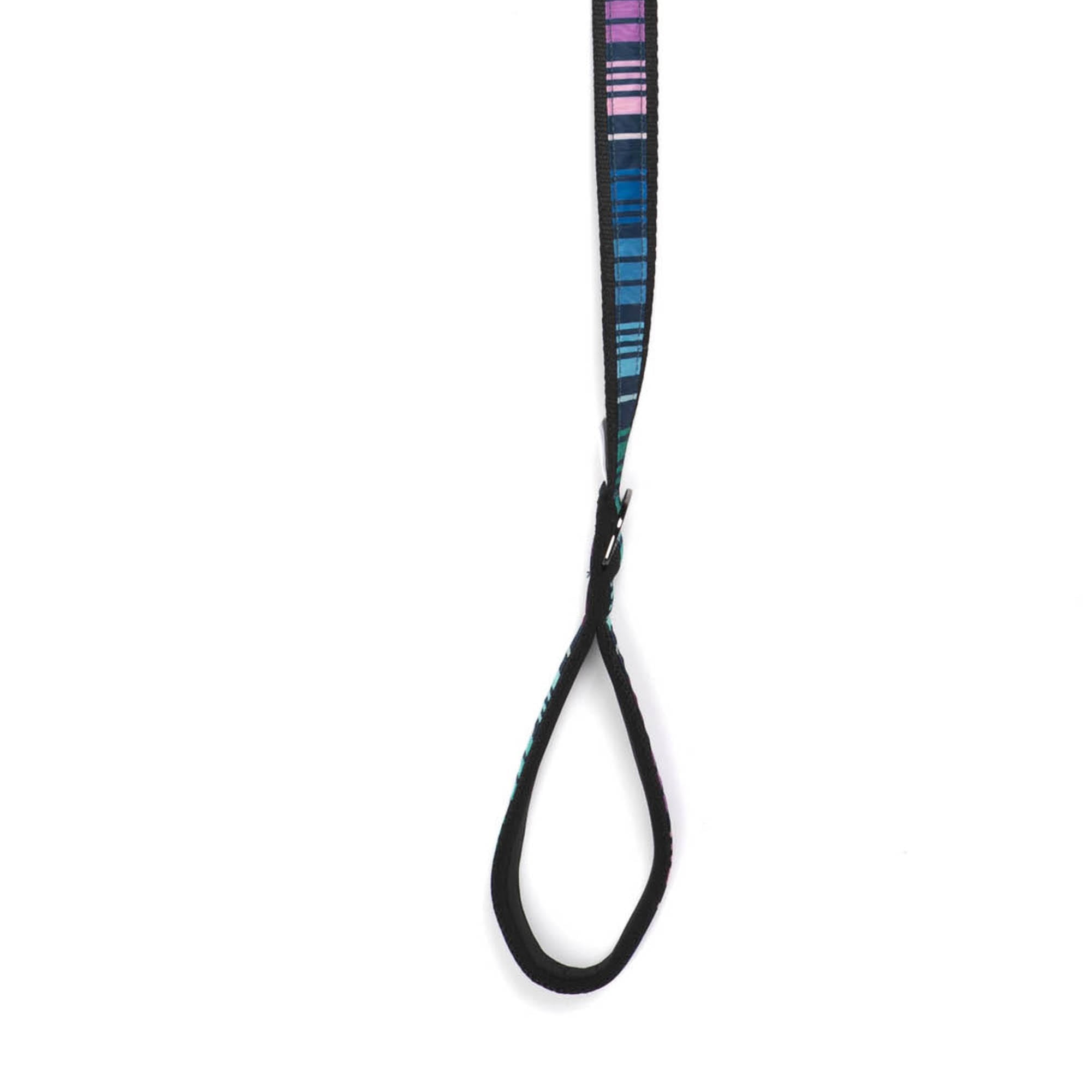 Fetch Pet Collar and Leash Set - LOVE STRIPE MULTI - Fetch_PetCollar_LeashSet_LoveStripeMulti_02
