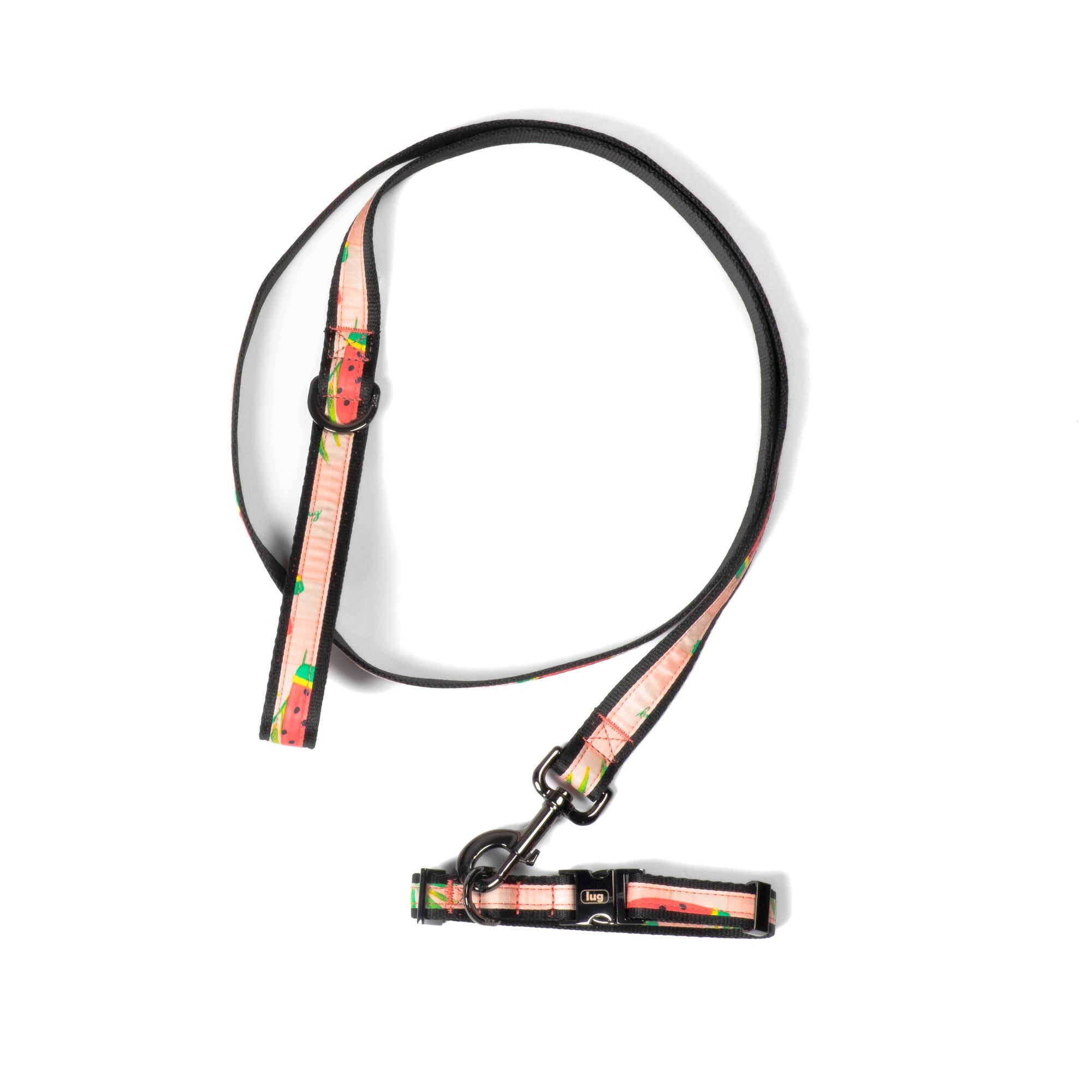 Fetch Pet Collar and Leash Set - POPSICLE PINK - Fetch_PetCollar_LeashSet_PopsiclePink_01