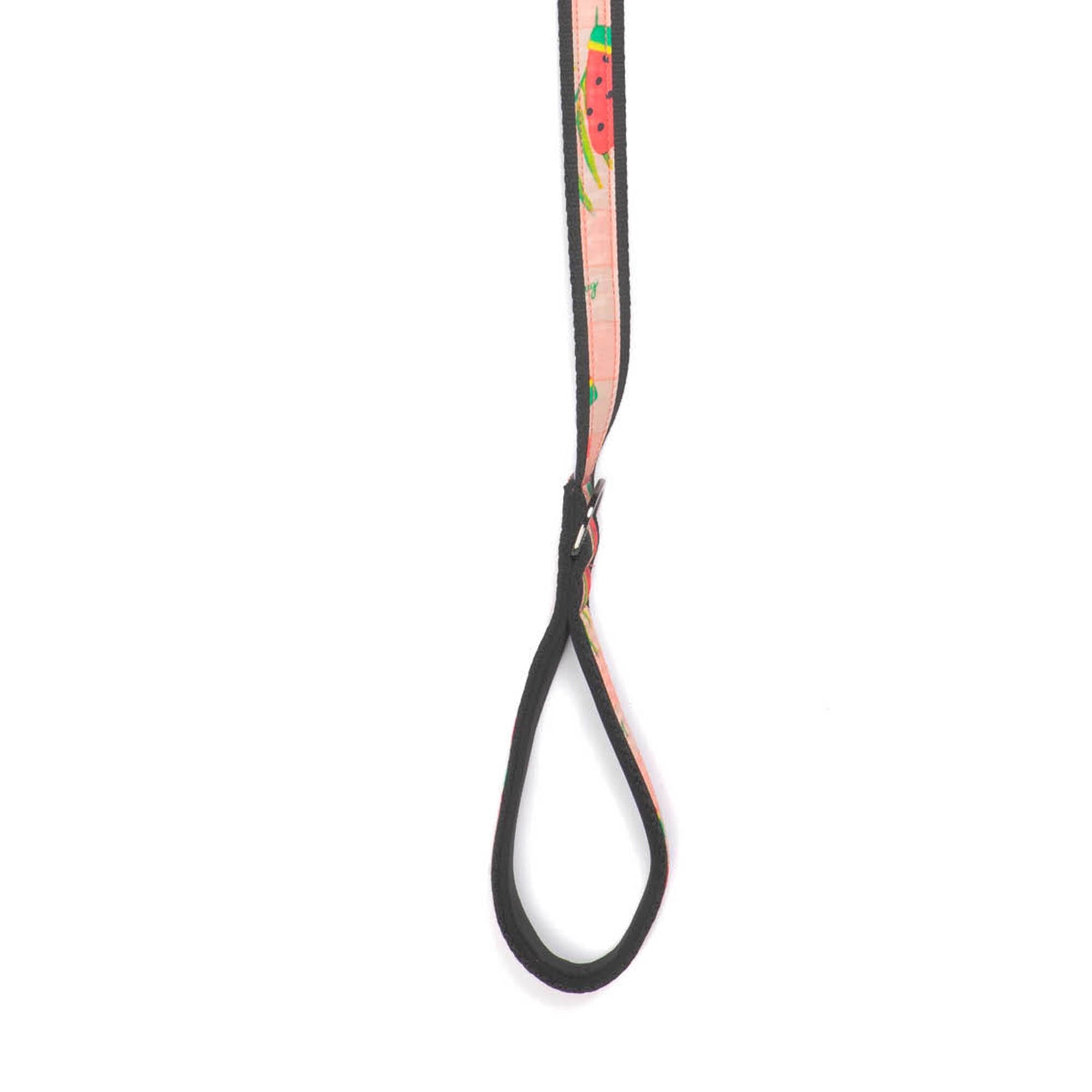 Fetch Pet Collar and Leash Set - POPSICLE PINK - Fetch_PetCollar_LeashSet_PopsiclePink_02