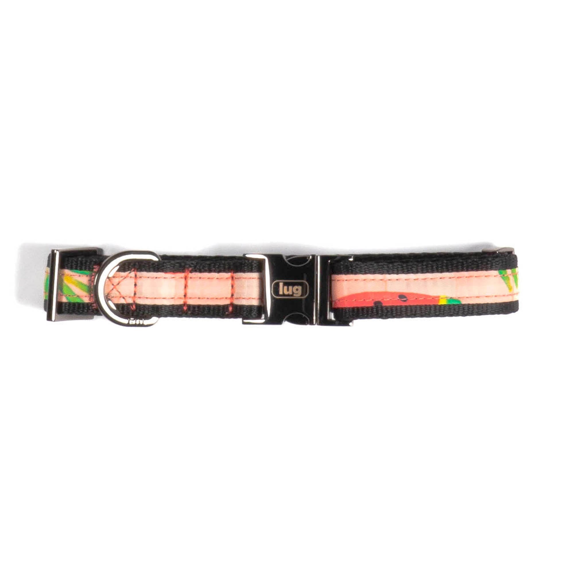 Fetch Pet Collar and Leash Set - POPSICLE PINK - Fetch_PetCollar_LeashSet_PopsiclePink_03